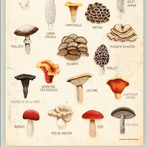 Meet your Posher, Rosalie